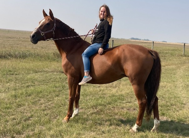 Common Dressage Mistakes and How to Overcome Them