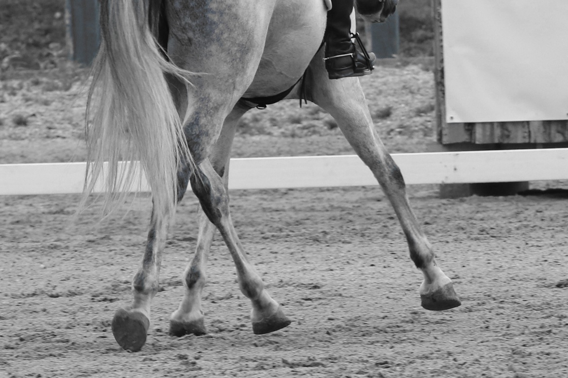 Improving Your Transitions with Ease